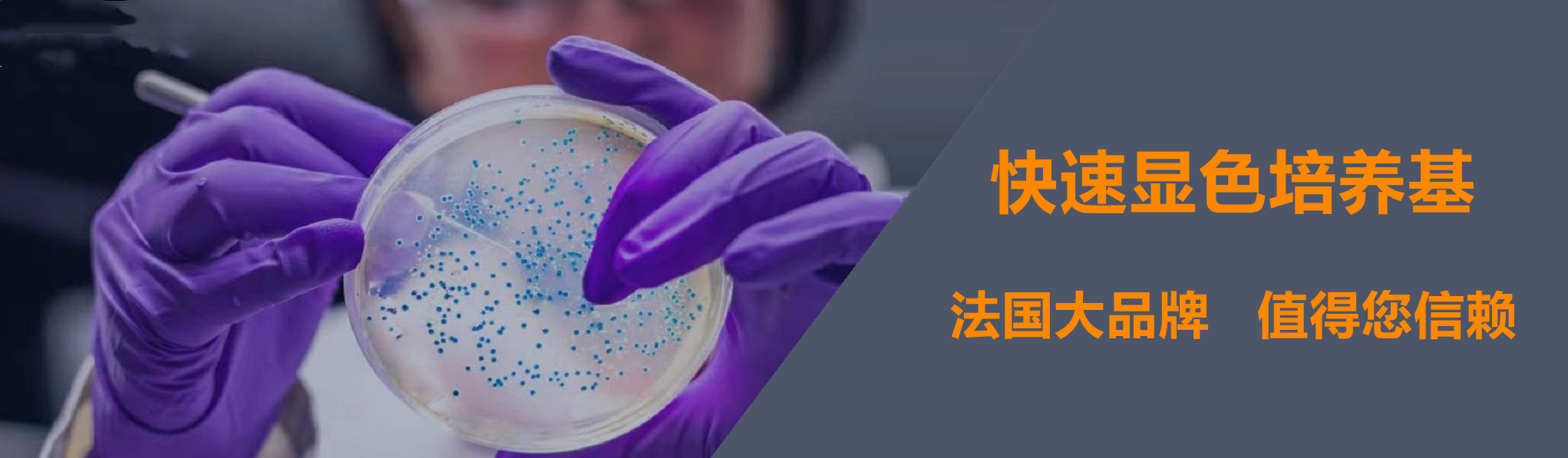 ���������׵����＼�����޹�˾