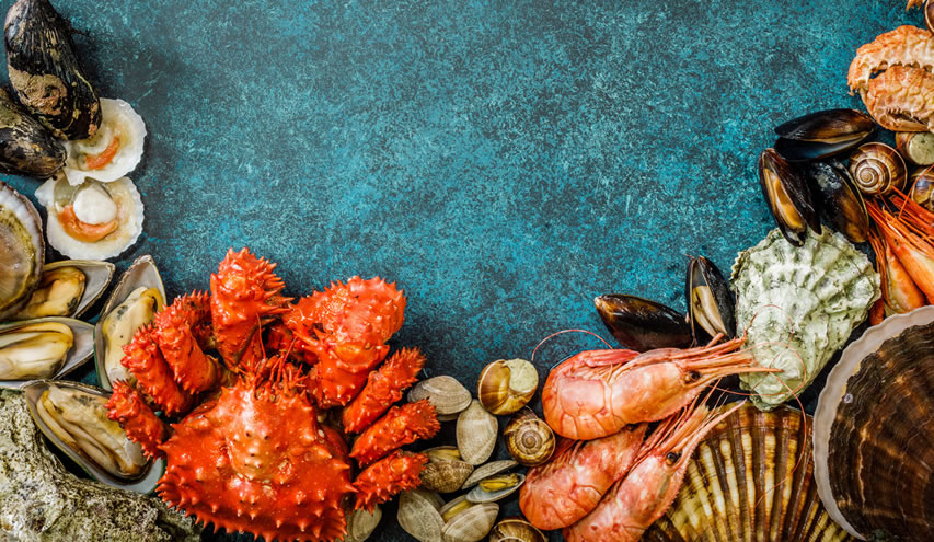 ���Ժ��ʵ����ѣ����躣�����ﶾ�أ�